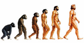 Timeline: Theory Of Evolution by Means of Natural Selection