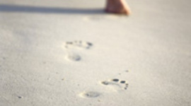 Timeline: Autobiografía