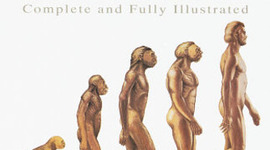 Timeline: Theory of evolution