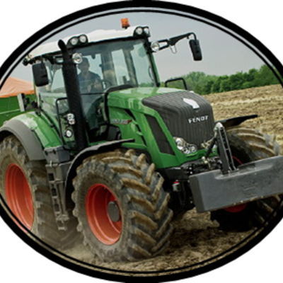 Timeline: Rhys Term one