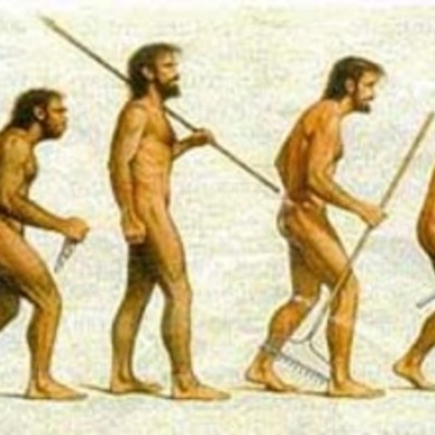 Timeline: EVOLUCION DEL HOMBRE