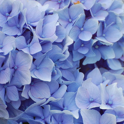 Timeline: Année 2012/2013