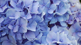 Timeline: Année 2012/2013