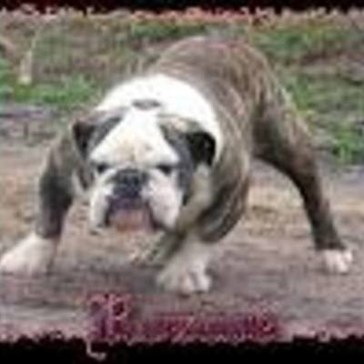 Timeline: Lunar Missions Timeline TREVOR C.