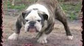 Timeline: Lunar Missions Timeline TREVOR C.