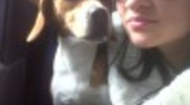 Timeline: Mi Linea Del Tiempo :)