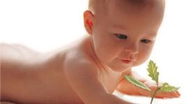 Timeline: historia de mi vida