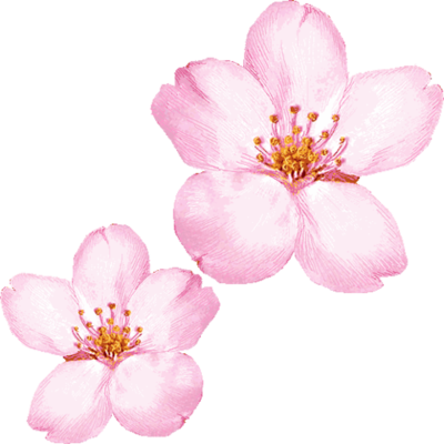 Timeline: Example Timeline.