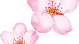 Timeline: Example Timeline.