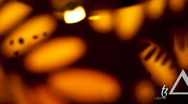 Timeline: Definitely my timeline