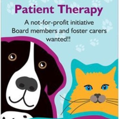 Timeline: Paws For Purrfect Patient Therapy - from its creation to the present