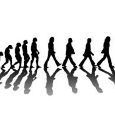 Timeline: Theorys On Evalution