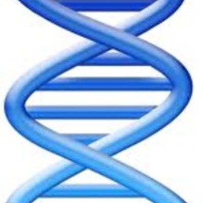 Timeline: DNA Discoveries