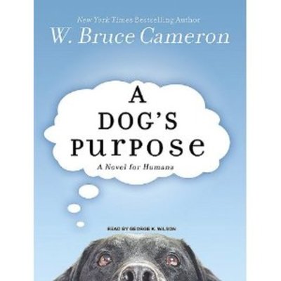 Timeline: A Dog's Purpose