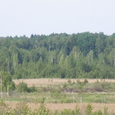 Timeline: Birds of Lithuania in March