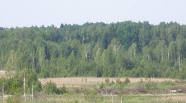 Timeline: Birds of Lithuania in March