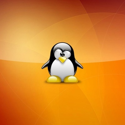 Timeline: Codigo Linux