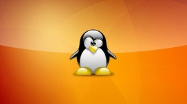 Timeline: Codigo Linux
