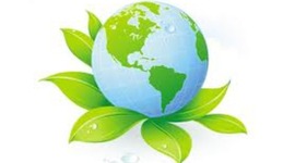 Timeline: Environmental Timeline