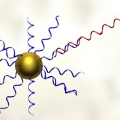 Timeline: Gold Nanoparticle