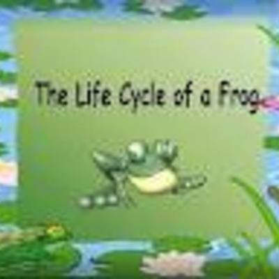 Timeline: LIFE CYCLE OF A FROG