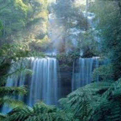 Timeline: Environmental Law Timeline Melissa Wu and Isabel DuBois