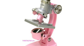 Timeline: History of the Microscope