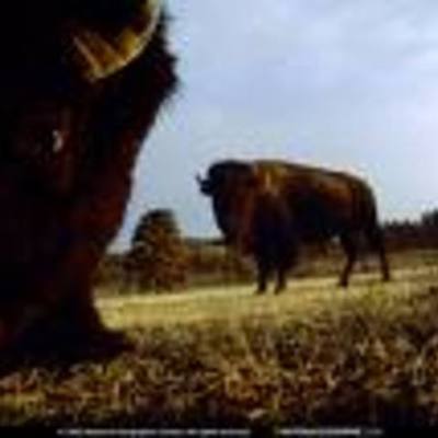 Timeline: Conflict on the Great Plains