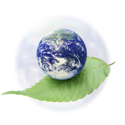 Timeline: Environment Timeline