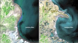 Timeline: Enviromental change timeline