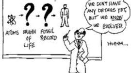 Timeline: Period 2, Rice - Warren, History of Earth