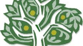 Timeline: Environmental Laws