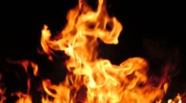 Timeline: lyric timeline