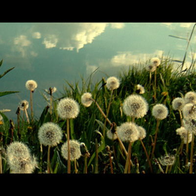 Timeline: Language Arts Curriculum Map
