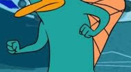 Timeline: The Journey To Freedom