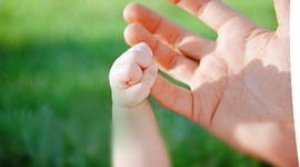 Timeline: La Vida de Kylee Harris