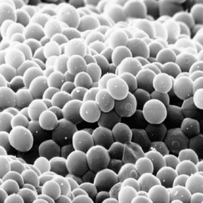 Timeline: History of Fermentation