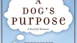 Timeline: A Dogs Purpose