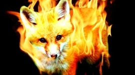 Timeline: Chinese History!