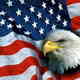 1american flag and eagle thumb