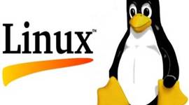 Timeline: codigo linux