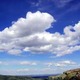 Fair weather cumulus
