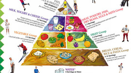 Timeline: Sport Nutrition