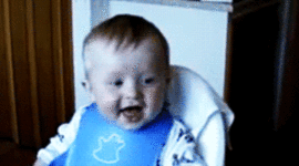 Timeline: 'Bolletje Beras' in Indie......