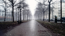 Timeline: my personal timeline