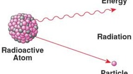 Timeline: Marie Curie