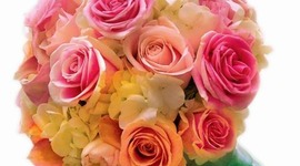 Timeline: Дни рождения апреля