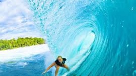 Timeline: Soul Surfer Plot