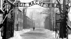 Timeline: Night Timeline