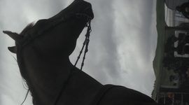 Timeline: georgia mcneill